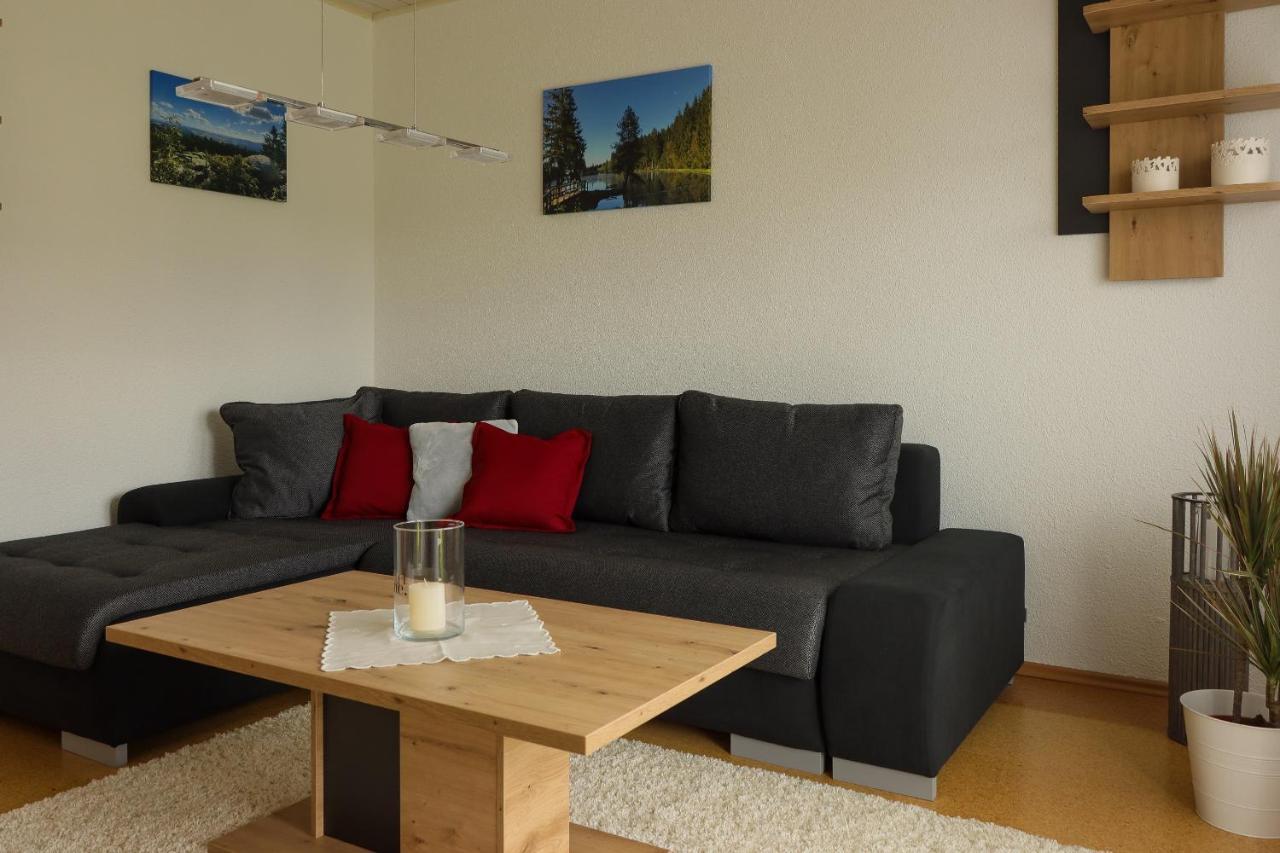 Buchen Blick - Ruhige Moderne Ferienwohnung 82Qm. Фихтельберг Экстерьер фото